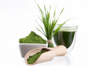 BARLEY GRASS