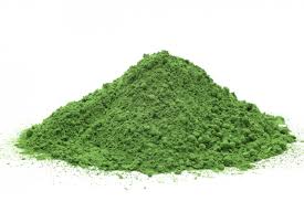 MORINGA BENEFITS