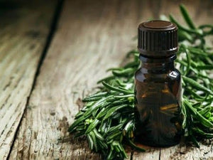 TEA TREE OIL BENEFITS