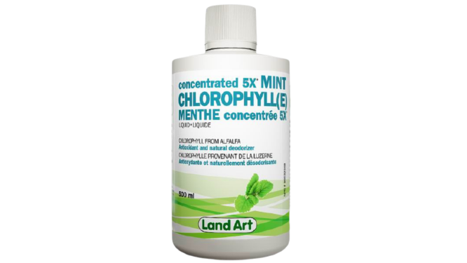Land Art 5X Mint Chlorophyll - 500mL