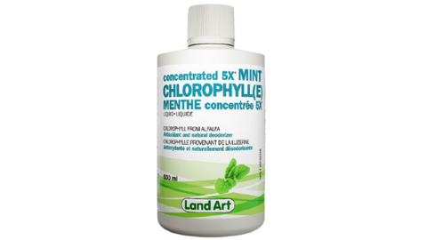 Land Art 5X Mint Chlorophyll - 500mL