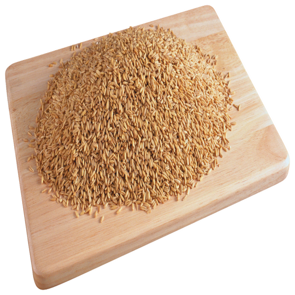 einkorn-berries-wheat